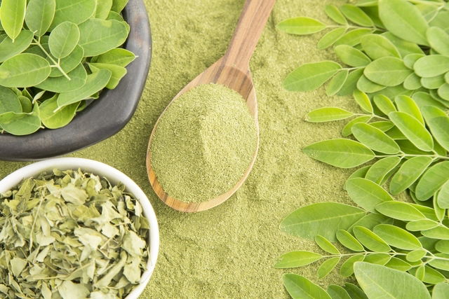 13 Benefícios da moringa para a saúde