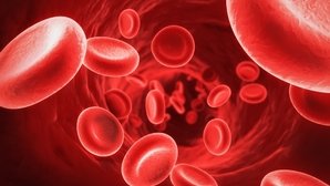 Hemoglobina: o que é, valores e o que significa alta e baixa