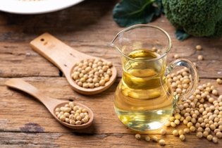 Illustrative image of the article Soy Lecithin: Health Benefits, Dosing & How to Take