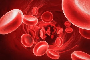 Imagen ilustrativa del artículo Anemia sideroblástica: qué es, síntomas, causas y tratamiento