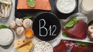 16 alimentos ricos em vitamina B12