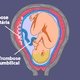 Trombose placentária: o que é, sintomas, causas e tratamento