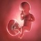34 Semanas de embarazo: desarrollo del bebé y cambios en la mujer
