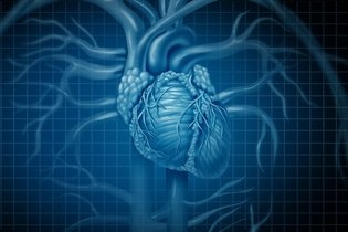 Cardiomegalia (corazón grande): síntomas, grados y tratamiento 