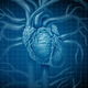 Cardiomegalia (corazón grande): síntomas, grados y tratamiento 