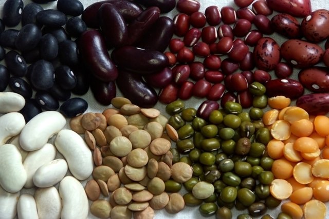 Alimentos ricos em Fibras e seus benefícios para a saúde
