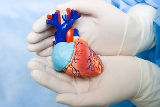 Imagen ilustrativa del artículo Soplo en el corazón: qué es, síntomas, causas y tratamiento 