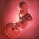 25 Semanas de embarazo: desarrollo del bebé y cambios en la mujer