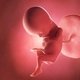 15 Semanas de embarazo: desarrollo del bebé y cambios en la mujer