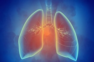 Imagem ilustrativa do artigo Cintilografia pulmonar: o que é, para que serve e como é feita