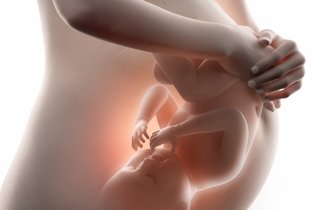 Imagem ilustrativa do artigo Posição cefálica: o que é e como saber se o bebê encaixou