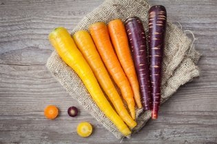 Imagen ilustrativa del artículo 10 beneficios de la zanahoria para la salud (¡comprobados!)