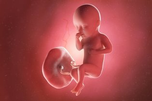 Desenvolvimento do bebê - 34 semanas de gestação