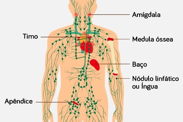 O Que E Timoma Sintomas E Tratamento Tua Saude