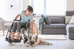 Imagem ilustrativa do artigo Paraplegia: o que é, sintomas, tipos e tratamento