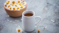 Chá de camomila: 10 benefícios, como fazer e contraindicações