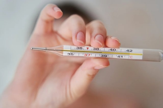 Golpe fuerte Irónico los 5 Tipos de termómetros y cómo usarlos