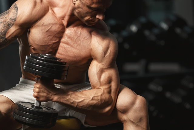 Bulking na musculação: O que é, como funciona e como fazer - Vitat