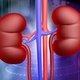 Infecção renal: sintomas, causas e tratamento