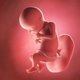 28 Semanas de embarazo: desarrollo del bebé y cambios en la mujer