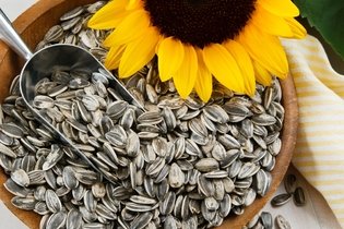 Semillas de girasol (pipas): 9 beneficios y cómo consumirlas