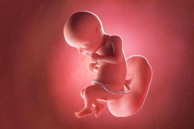 Imagem ilustrativa do artigo Desenvolvimento do bebê - 28 semanas de gestação