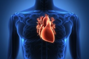 Insuficiência cardíaca congestiva: o que é, sintomas, causas e tratamento