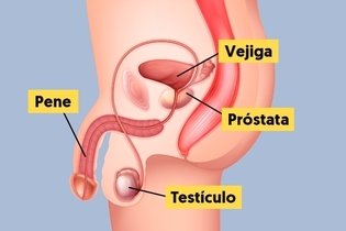 Cáncer de próstata: 10 síntomas principales y tratamiento