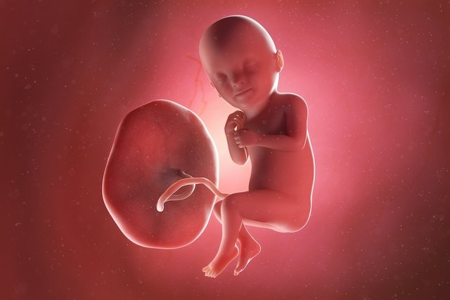 Imagem ilustrativa do artigo Desenvolvimento do bebê - 33 semanas de gestação