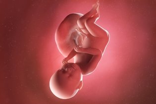 Imagen ilustrativa del artículo 38 semanas de embarazo: desarrollo del bebé y cambios en la mujer