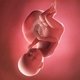 38 Semanas de embarazo: desarrollo del bebé y cambios en la mujer