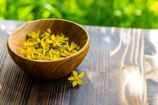 Illustrative image of the article St. John's Wort Benefits (plus Tea Recipes & Side Effects)