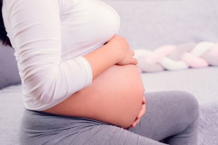 Imagen ilustrativa del artículo 6 Cuidados durante el embarazo de alto riesgo