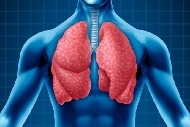 11 doenças respiratórias mais comuns (e o que fazer) - Tua Saúde