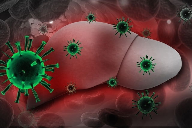 Hepatite B Sintomas Transmiss O Tratamento E Cura Tua Sa De