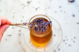 Alfazema: para que serve, como usar e como fazer o chá