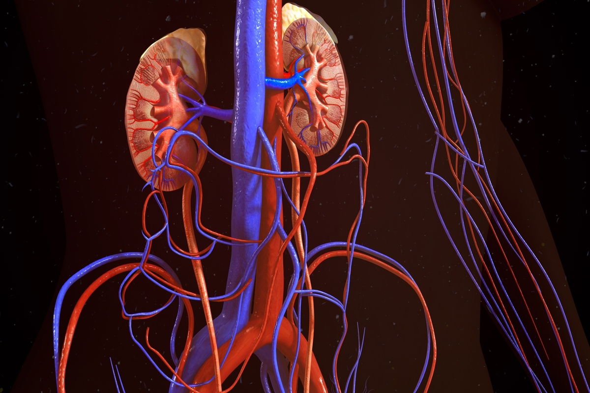 Acidose Tubular Renal o que é sintomas e tratamento Tua Saúde