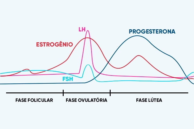 Ciclo menstrual irregular. Sintomas, causas e tratamentos