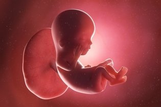 Imagen ilustrativa del artículo 12 semanas de embarazo: desarrollo del bebé y cambios en la mujer