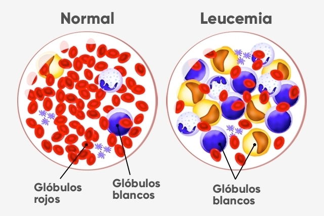 Imagem ilustrativa número 1