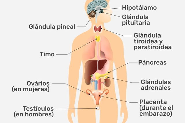 Imagem ilustrativa número 1