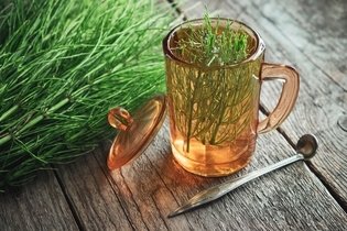 Illustrative image of the article Best Herbs for UTI Treatment: 8 Tea Recipes 