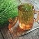 Best Herbs for UTI Treatment: 6 Tea Recipes 