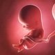 13 Semanas de embarazo: desarrollo del bebé y cambios en la mujer