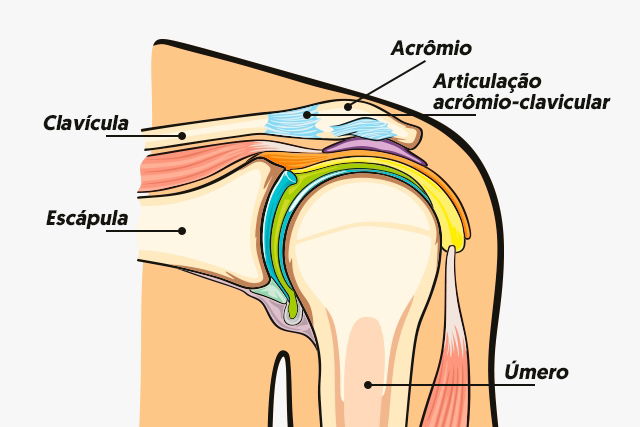 Imagem ilustrativa número 1