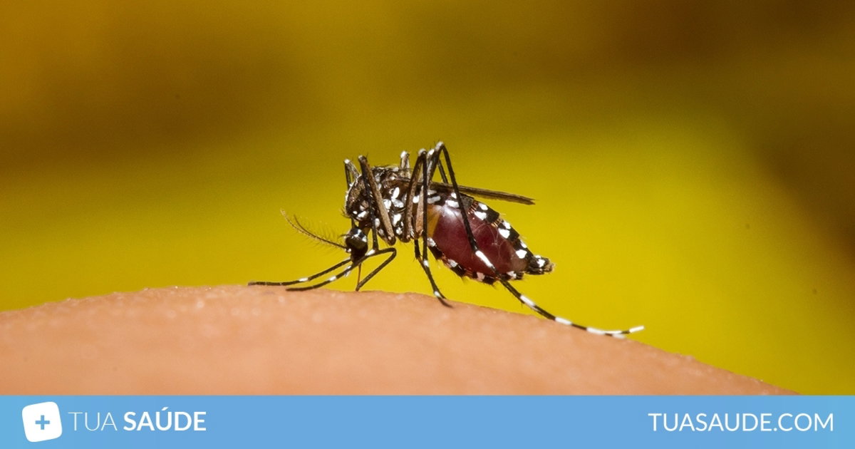 principais sequelas e complicações da dengue Tua Saúde