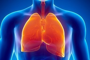 Imagem ilustrativa do artigo Tratamento para embolia pulmonar (e possíveis sequelas)