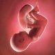 37 Semanas de embarazo: desarrollo del bebé y cambios en la mujer