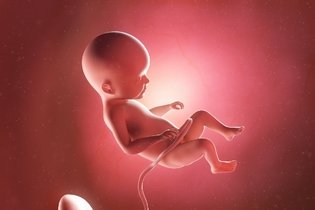 Imagen ilustrativa del artículo 22 semanas de embarazo: desarrollo del bebé y cambios en la mujer