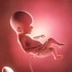 22 Semanas de embarazo: desarrollo del bebé y cambios en la mujer